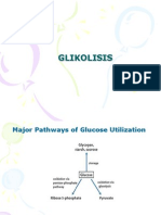 Glikolisis Pentosa Phosphate-Biokimi