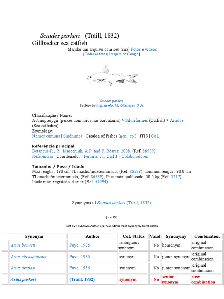Sciades Parkeri Overview | PDF