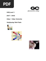Download Gh17 Gh18 Booklet by Clare Dix GC SN117380514 doc pdf