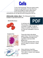 Higher Summary Notes - Cells