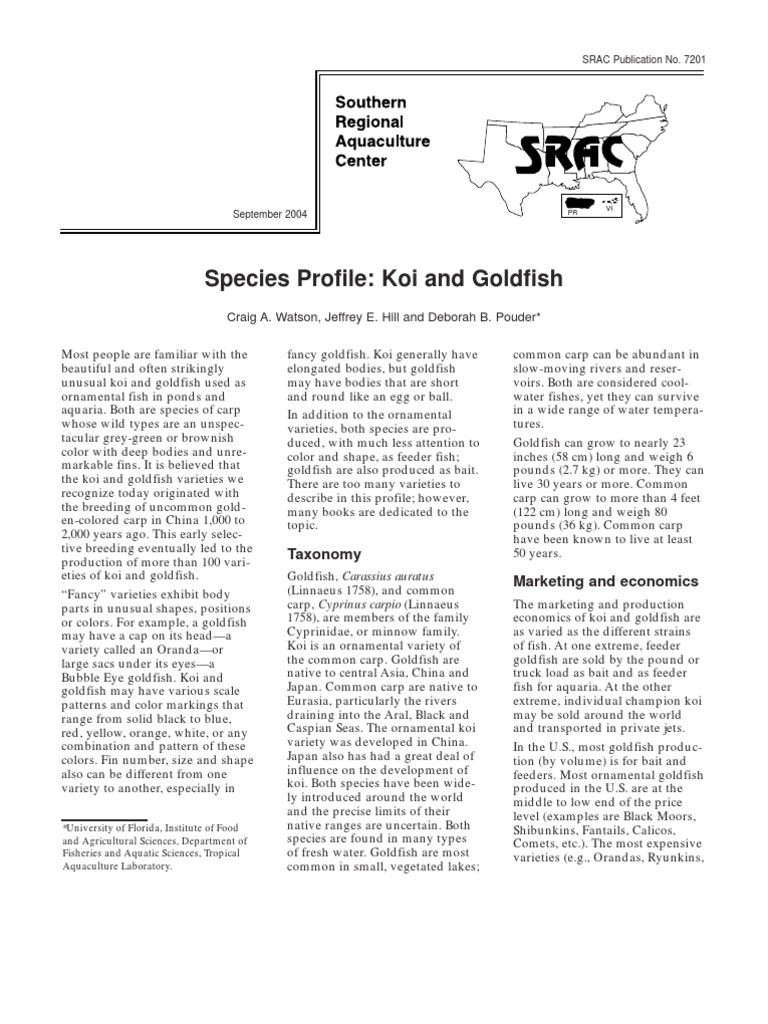 Koi and Goldfish: Species Overview | PDF | Spawn (Biology) | Infection