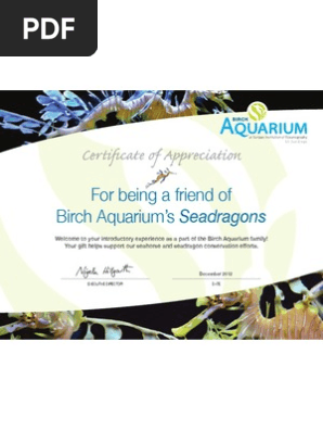 Seadragon Adoption Certificate