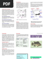 Basic Biology of Tilapia