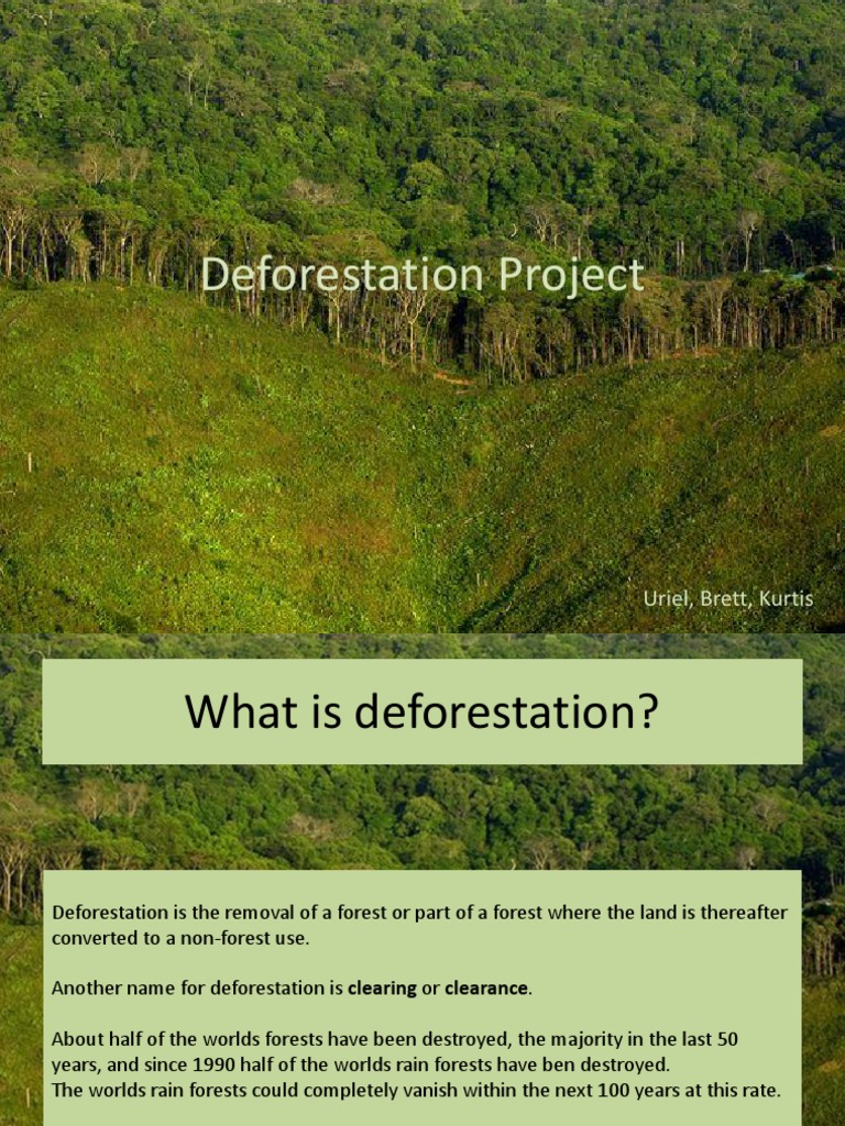Deforestation Project Overview | PDF | Deforestation | Forests