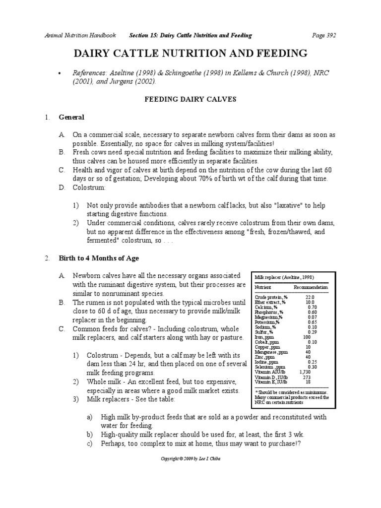 Cattle Feeding PDF Dairy Cattle Calf