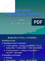 Uveitis Posterior