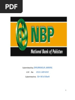 NBP Final Report (S.M) Butt