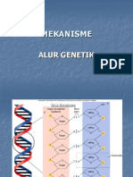 Mekanisme Alur Genetik