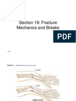 Section 19: Fracture Mechanics and Breaks