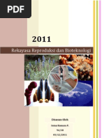 Download Makalah Biologi Rekayasa reproduksi dan bioteknologi by Tiara Elok SN117495894 doc pdf