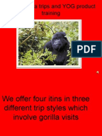 2008 Feb IGKL Gorilla Trips