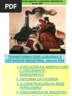 TEMA7-TRANSFORMACIÓNS AGRARIAS E EXPANSIÓN INDUSTRIAL (SÉCULO XIX)