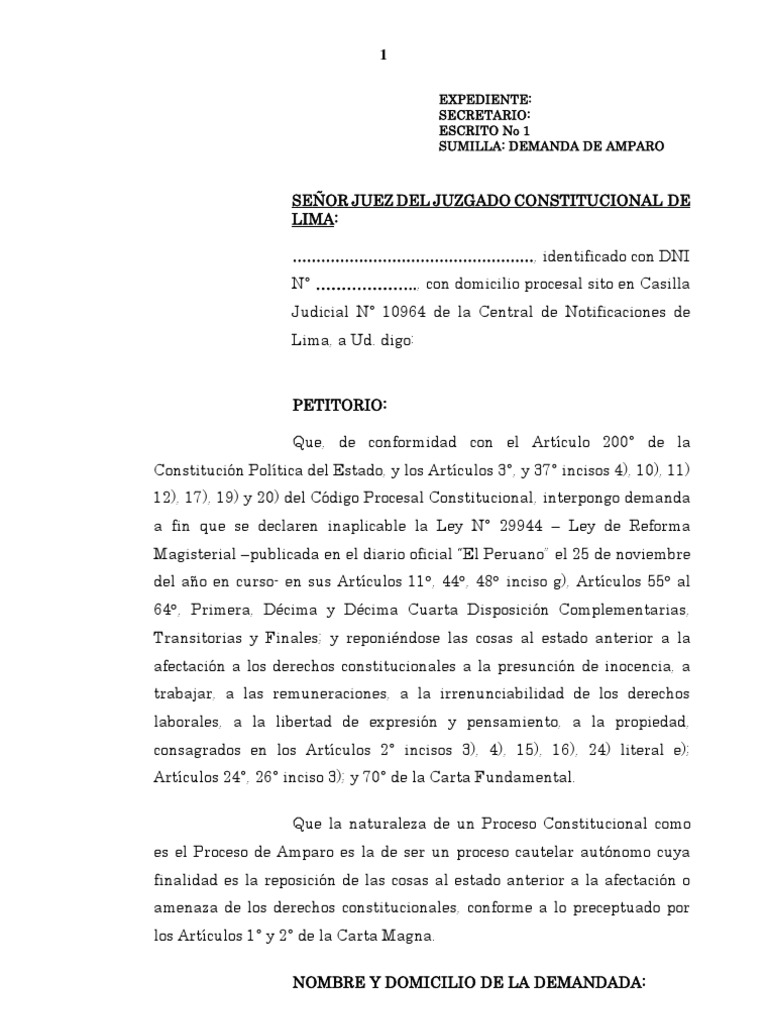 Accion de Amparo Contra Ley 29944 Modelo 3 | PDF | Derecho Constitucional |  Constitución