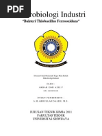 Download Bakteri Thibacillus Ferrooxidans Akbar Ismi Aziz by AkbarIsmiAziz SN117601984 doc pdf