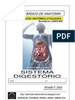 sistema digestorio