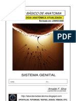 sistema genital