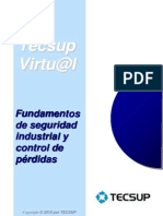 Fundamentos de Seguridad Industrial y Control de Perdidas.