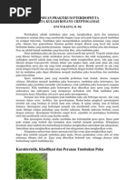 Download Pteridophyta adalah tumbuhan paku yang menghasilkan spora dan umumnya mempunyai susunan daun yang membentuk bangun sayap serta pada bagian pucuk tumbuhan itu terdapat bulu-bulu by Anwar Ld SN117665625 doc pdf