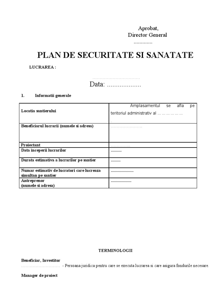 Model Plan SSM | PDF