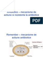 Antibiotice - Mecanisme de Actiune Si Rezistenta La