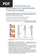 Tema 15. Función tubular. Mecanismos de concentración y dilución de orina.