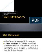 XML Databases