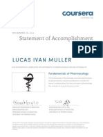 Statement of Accomplishment: Lucas Ivan Muller