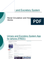 Urinary and Excretory System: Renal Circulation and How Kidney Works
