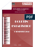 Boletin Estadistico Isemestre 2012