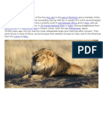 Big Cats Genus Felidae Tiger Sub-Saharan Africa Asia Endangered Gir Forest National Park India North Africa Southwest Asia Pleistocene