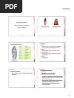 Download Trematoda usus by Apr Aprililianti SN117746066 doc pdf