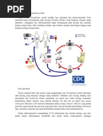 Download Siklus Hidup Toxoplasma Gondii by Agustinus Vincent SN117755270 doc pdf