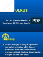 ULKUS