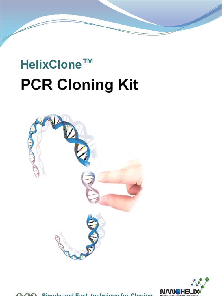 PCR Cloning Kit: Helixclone | PDF | Molecular Cloning | Polymerase ...