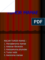 Tumor Mamae