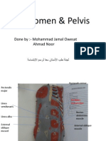Abdomen & Pelvis: Done By:-Mohammad Jamal Owesat Ahmad Noor