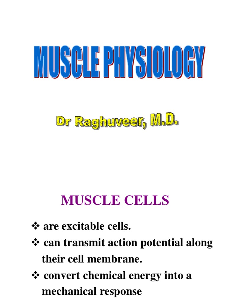 Skeletal Muscle | PDF | Muscle Contraction | Myocyte