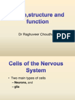Nerve Physiology