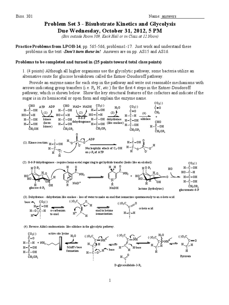 BIOC 301 ProblemSet3-2012Answers | PDF | Glycolysis | Enzyme Kinetics