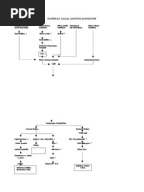 Pathway Chf