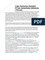 Bioenergi Sel Dan Fosforilasi Oksidatif Perolehan ATP Dari Karbohidrat