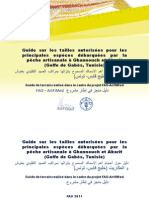 Guide Mensuration Tunisie