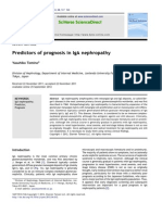 Predictors of Prognosis in Iga Nephropathy: Review Article