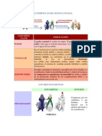 Características Del Sistema Feudal