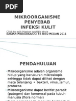 Download penyakit kulit by nsyukriya SN117957125 doc pdf