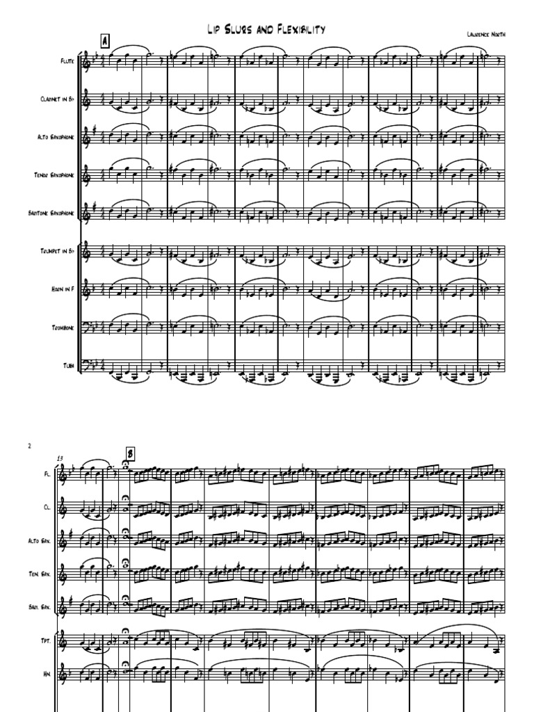 Lip Slurs and Flexibility PDF PDF Elementary Organology Music