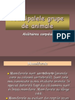 Grupele de Animale