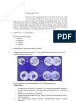 Reproduksi Sel