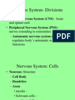Powerpoint Notes1210