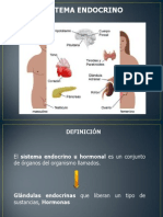 Sistema Endocrino